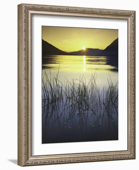 sunset, Lake Wenatchee, Wenatchee National Forest, Washington, USA-Charles Gurche-Framed Photographic Print