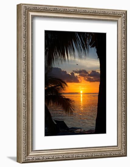 Sunset Landscape - Miami - Florida-Philippe Hugonnard-Framed Photographic Print