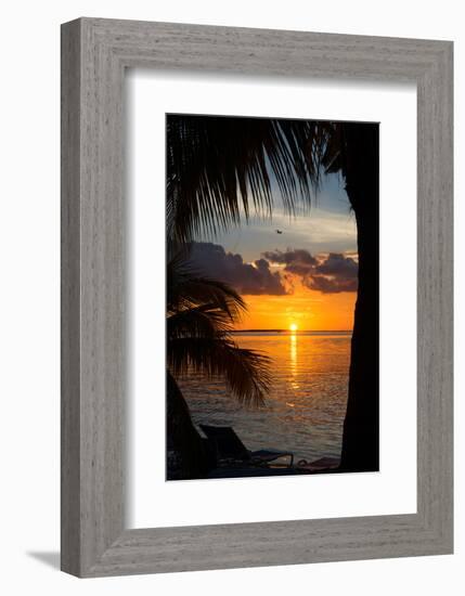 Sunset Landscape - Miami - Florida-Philippe Hugonnard-Framed Photographic Print