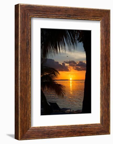 Sunset Landscape - Miami - Florida-Philippe Hugonnard-Framed Photographic Print