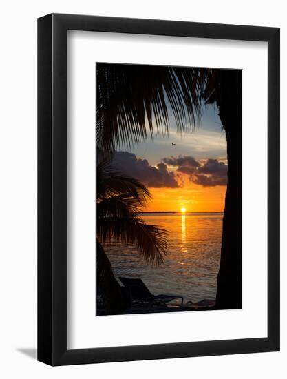 Sunset Landscape - Miami - Florida-Philippe Hugonnard-Framed Photographic Print