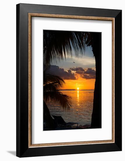 Sunset Landscape - Miami - Florida-Philippe Hugonnard-Framed Photographic Print