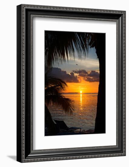 Sunset Landscape - Miami - Florida-Philippe Hugonnard-Framed Photographic Print