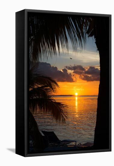 Sunset Landscape - Miami - Florida-Philippe Hugonnard-Framed Premier Image Canvas