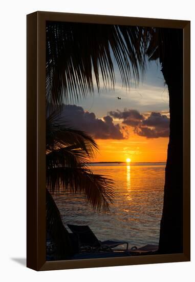 Sunset Landscape - Miami - Florida-Philippe Hugonnard-Framed Premier Image Canvas