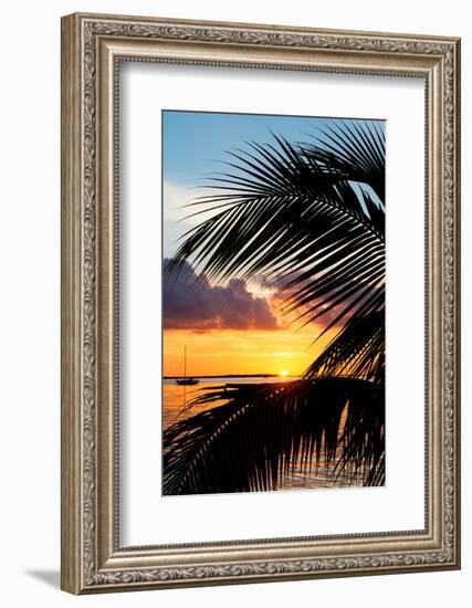 Sunset Landscape with a Yacht - Miami - Florida-Philippe Hugonnard-Framed Photographic Print