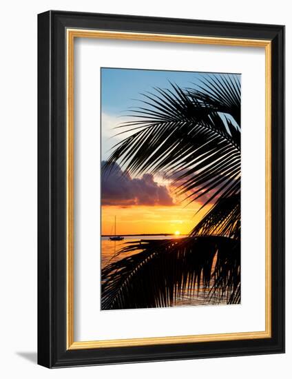 Sunset Landscape with a Yacht - Miami - Florida-Philippe Hugonnard-Framed Photographic Print