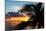 Sunset Landscape with a Yacht - Miami - Florida-Philippe Hugonnard-Mounted Photographic Print