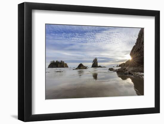 Sunset light at Second Beach in Olympic National Park, Washington State, USA-Chuck Haney-Framed Photographic Print