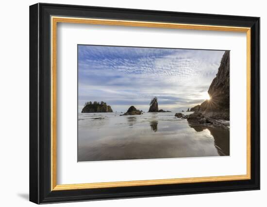 Sunset light at Second Beach in Olympic National Park, Washington State, USA-Chuck Haney-Framed Photographic Print