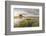 Sunset light, Mont-Saint-Michel, UNESCO World Heritage Site, Normandy, France, Europe-Francesco Vaninetti-Framed Photographic Print