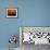 Sunset Light on Cafe Tables, Athens, Greece-Walter Bibikow-Framed Photographic Print displayed on a wall