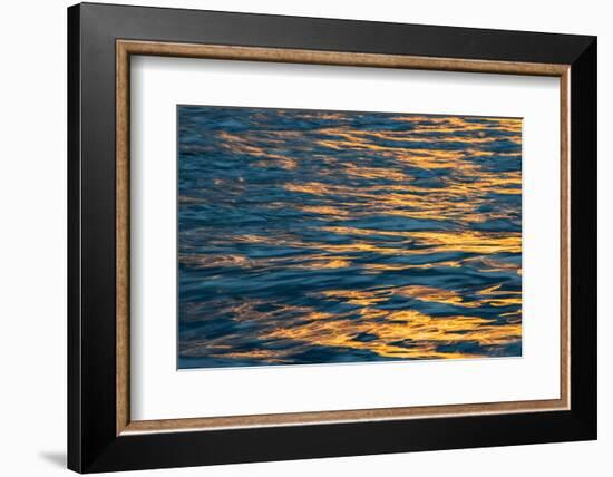 Sunset light on waters off Santa Cruz Island, Galapagos Islands, Ecuador.-Adam Jones-Framed Photographic Print