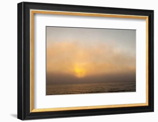 Sunset Light Shining Through Fog Bank of the Florida Coast-James White-Framed Photographic Print