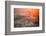 Sunset Lioness-Alessandro Catta-Framed Photographic Print