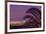 Sunset, Los Angeles skyline viewed from Hollywood Hills, Southern California, USA-Stuart Westmorland-Framed Photographic Print