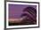 Sunset, Los Angeles skyline viewed from Hollywood Hills, Southern California, USA-Stuart Westmorland-Framed Photographic Print