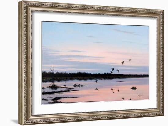 Sunset March Black Ducks-Wilhelm Goebel-Framed Giclee Print