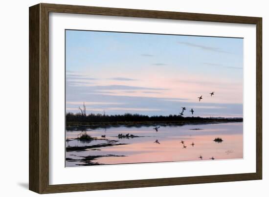 Sunset March Black Ducks-Wilhelm Goebel-Framed Giclee Print