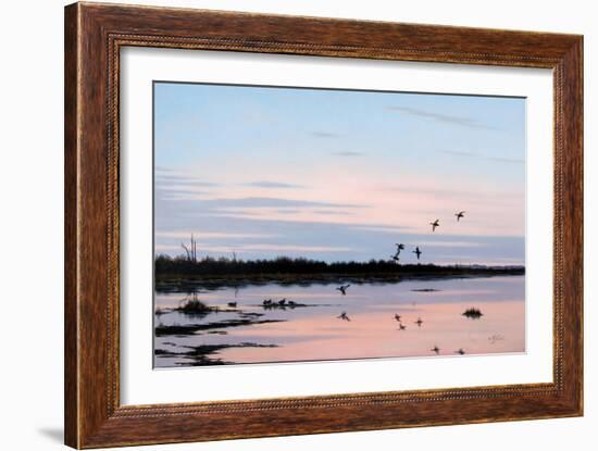 Sunset March Black Ducks-Wilhelm Goebel-Framed Giclee Print