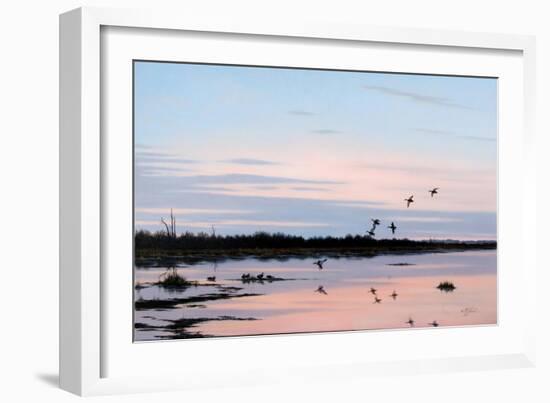 Sunset March Black Ducks-Wilhelm Goebel-Framed Giclee Print