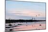 Sunset March Black Ducks-Wilhelm Goebel-Mounted Giclee Print