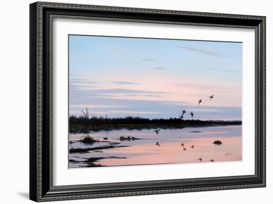 Sunset March Black Ducks-Wilhelm Goebel-Framed Giclee Print