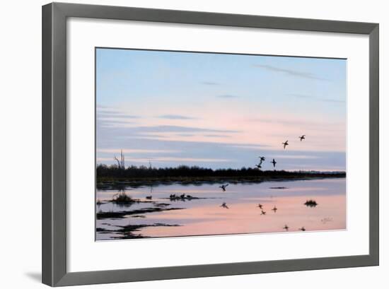 Sunset March Black Ducks-Wilhelm Goebel-Framed Giclee Print