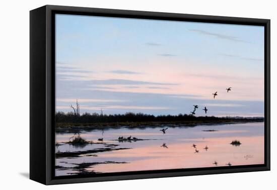 Sunset March Black Ducks-Wilhelm Goebel-Framed Premier Image Canvas