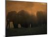 Sunset Mist-Art Wolfe-Mounted Photographic Print