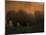 Sunset Mist-Art Wolfe-Mounted Photographic Print