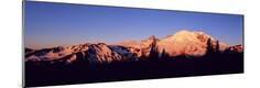 Photographic Print