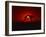 Sunset, Mundi Mundi Plains, New South Wales, Australia, Pacific-Mawson Mark-Framed Photographic Print