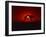 Sunset, Mundi Mundi Plains, New South Wales, Australia, Pacific-Mawson Mark-Framed Photographic Print