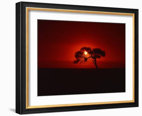 Sunset, Mundi Mundi Plains, New South Wales, Australia, Pacific-Mawson Mark-Framed Photographic Print