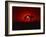 Sunset, Mundi Mundi Plains, New South Wales, Australia, Pacific-Mawson Mark-Framed Photographic Print