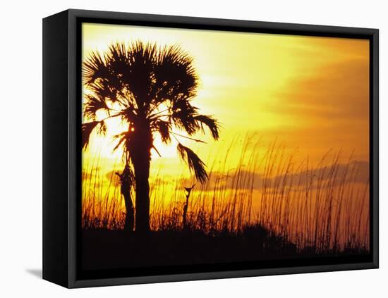 Sunset near Folley Beach, Charleston, South Carolina, USA-Julie Eggers-Framed Premier Image Canvas