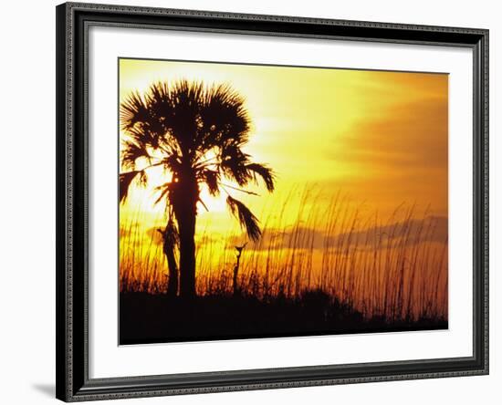 Sunset near Folley Beach, Charleston, South Carolina, USA-Julie Eggers-Framed Photographic Print