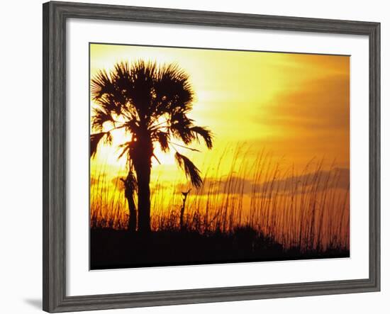 Sunset near Folley Beach, Charleston, South Carolina, USA-Julie Eggers-Framed Photographic Print