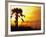 Sunset near Folley Beach, Charleston, South Carolina, USA-Julie Eggers-Framed Photographic Print