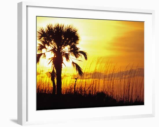 Sunset near Folley Beach, Charleston, South Carolina, USA-Julie Eggers-Framed Photographic Print
