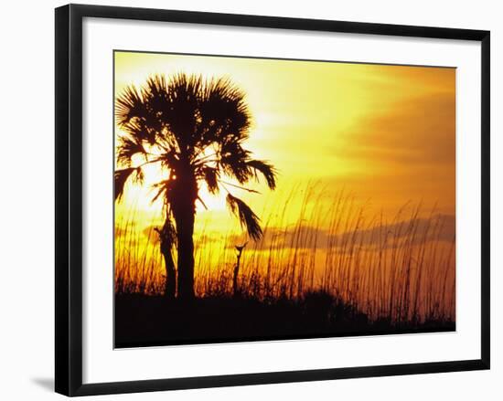 Sunset near Folley Beach, Charleston, South Carolina, USA-Julie Eggers-Framed Photographic Print