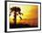 Sunset near Folley Beach, Charleston, South Carolina, USA-Julie Eggers-Framed Photographic Print