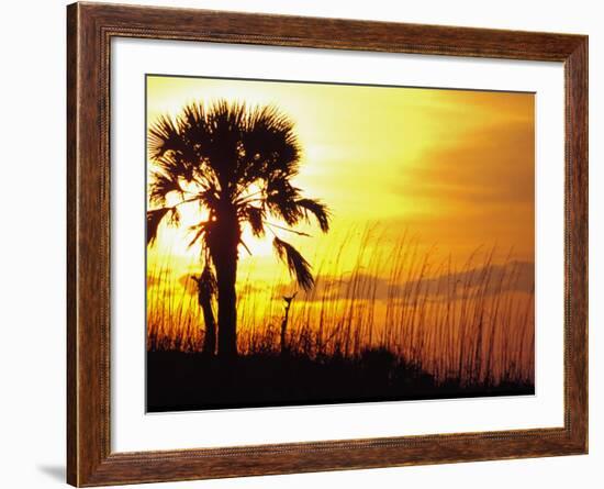 Sunset near Folley Beach, Charleston, South Carolina, USA-Julie Eggers-Framed Photographic Print