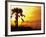 Sunset near Folley Beach, Charleston, South Carolina, USA-Julie Eggers-Framed Photographic Print