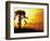 Sunset near Folley Beach, Charleston, South Carolina, USA-Julie Eggers-Framed Photographic Print