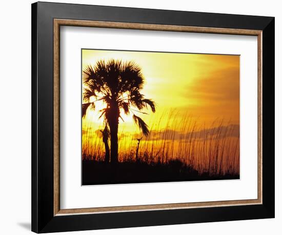 Sunset near Folley Beach, Charleston, South Carolina, USA-Julie Eggers-Framed Photographic Print