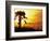 Sunset near Folley Beach, Charleston, South Carolina, USA-Julie Eggers-Framed Photographic Print