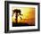 Sunset near Folley Beach, Charleston, South Carolina, USA-Julie Eggers-Framed Photographic Print