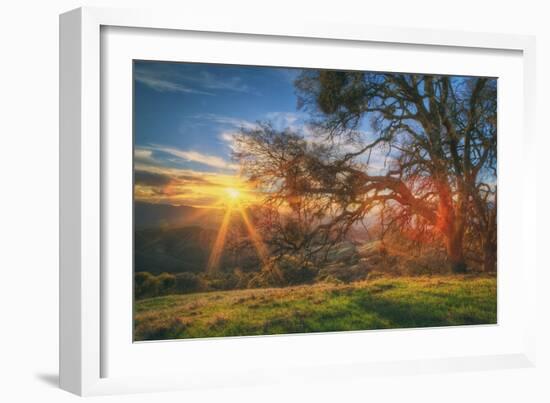 Sunset Oak, Mount Diablo State Park, Northern California-Vincent James-Framed Photographic Print